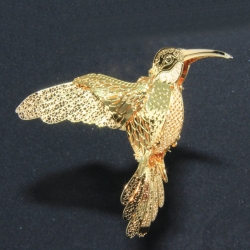 2012 - Hummingbird
